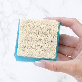 FACETS OF THE SEA Handmade Glycerin LoofahBar Soap - Primal Elements
