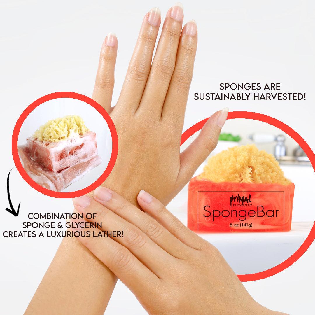 ISLAND OASIS SpongeBar Glycerin Bar Soap - Primal Elements