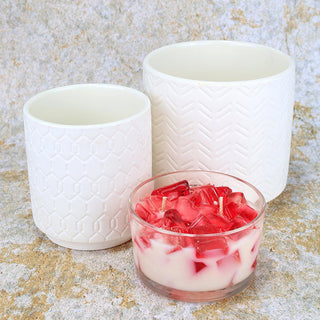2-Wick Color Bowl Candle - CHERRY VANILLA - Primal Elements