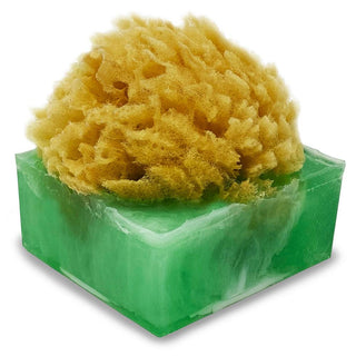 HONEYCRISP APPLE SpongeBar Glycerin Bar Soap - Primal Elements