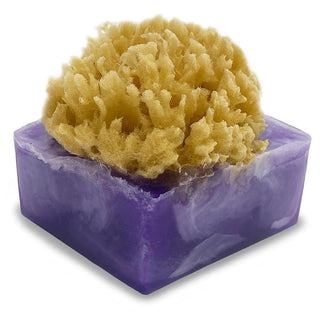 LAVENDER BLUEBERRY SpongeBar Glycerin Bar Soap - Primal Elements