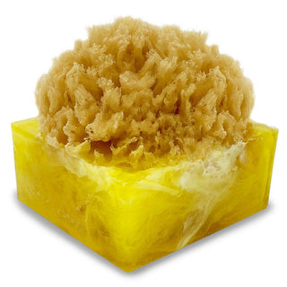 TAHITIAN VANILLA SpongeBar Glycerin Bar Soap - Primal Elements