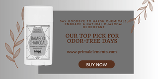Say Goodbye to Harsh Chemicals and Embrace a Natural Charcoal Deodorant: Our Top Pick for Odor-Free Days - Primal Elements