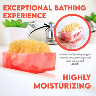 ALOHA SpongeBar Glycerin Bar Soap - Primal Elements