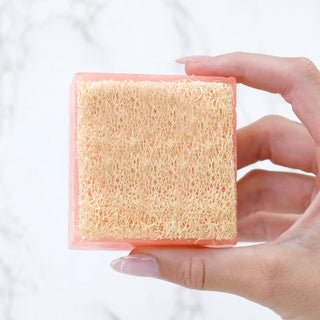 CUPCAKE Handmade Glycerin LoofahBar Soap - Primal Elements