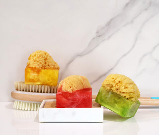 Primal Elements SpongeBar Soap