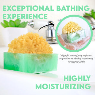 HONEYCRISP APPLE SpongeBar Glycerin Bar Soap - Primal Elements