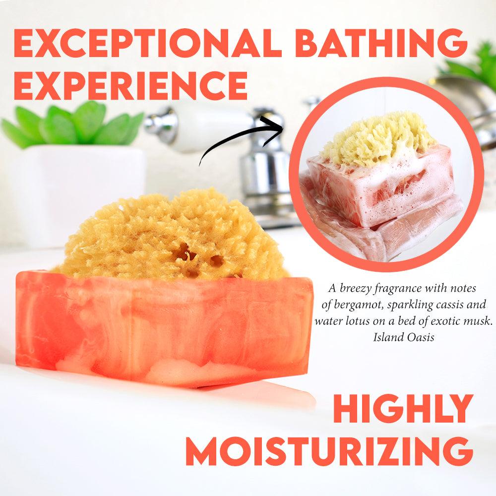 ISLAND OASIS SpongeBar Glycerin Bar Soap - Primal Elements