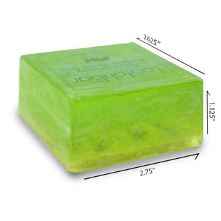 JUICY KIWI Handmade Glycerin LoofahBar Soap - Primal Elements