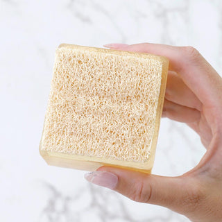 SALTED LEMONADE Handmade Glycerin LoofahBar Soap - Primal Elements