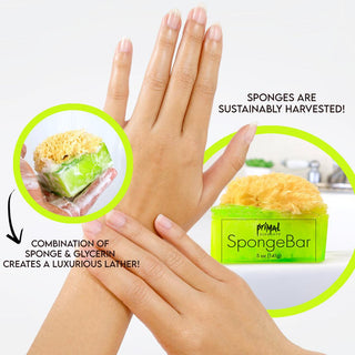 SEA SALT AND CITRUS SpongeBar Glycerin Bar Soap - Primal Elements