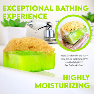 SEA SALT AND CITRUS SpongeBar Glycerin Bar Soap - Primal Elements