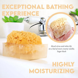 SUGAR RUSH SpongeBar Glycerin Bar Soap