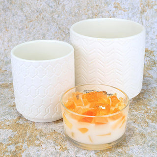 2-Wick Color Bowl Candle - ALMOND BISCOTTI - Primal Elements