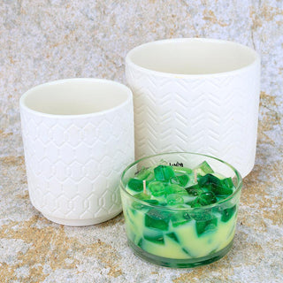 2-Wick Color Bowl Candle - HOLIDAY - Primal Elements