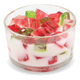 2-Wick Color Bowl Candle - RASPBERRY ROSE - Primal Elements