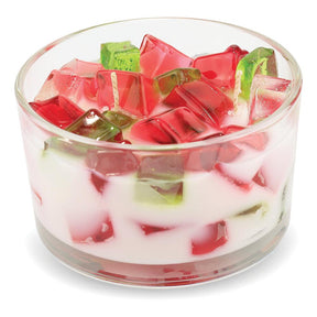 2-Wick Color Bowl Candle - RASPBERRY ROSE - Primal Elements
