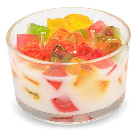 2-Wick Color Bowl Candle - TUTTI FRUITY - Primal Elements