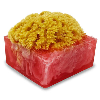 ALOHA SpongeBar Glycerin Bar Soap - Primal Elements