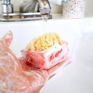 ALOHA SpongeBar Glycerin Bar Soap - Primal Elements