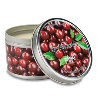 CRANBERRRIES Travel Tin Candle - Primal Elements