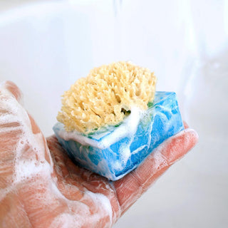 FACETS OF THE SEA SpongeBar Glycerin Bar Soap - Primal Elements