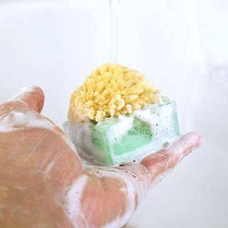 HONEYCRISP APPLE SpongeBar Glycerin Bar Soap - Primal Elements