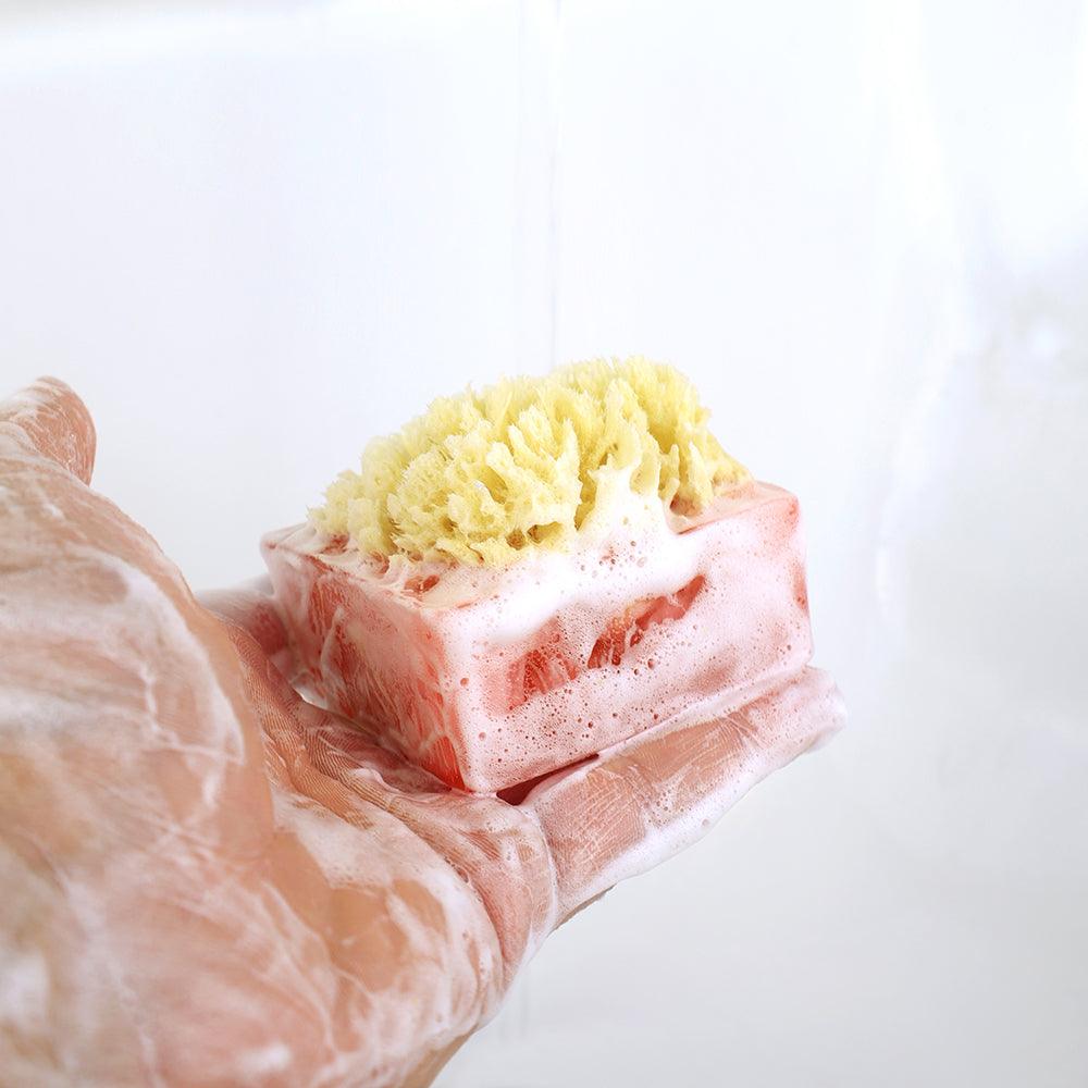 ISLAND OASIS SpongeBar Glycerin Bar Soap - Primal Elements