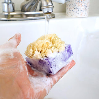 LAVENDER BLUEBERRY SpongeBar Glycerin Bar Soap - Primal Elements