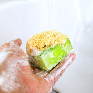 SEA SALT AND CITRUS SpongeBar Glycerin Bar Soap - Primal Elements