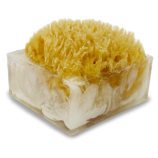 SUGAR RUSH SpongeBar Glycerin Bar Soap - Primal Elements