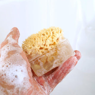 SUGAR RUSH SpongeBar Glycerin Bar Soap - Primal Elements