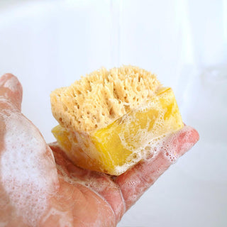 TAHITIAN VANILLA SpongeBar Glycerin Bar Soap - Primal Elements